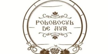 “POLOBOCUL DE AUR – ALTIN FIÇI”